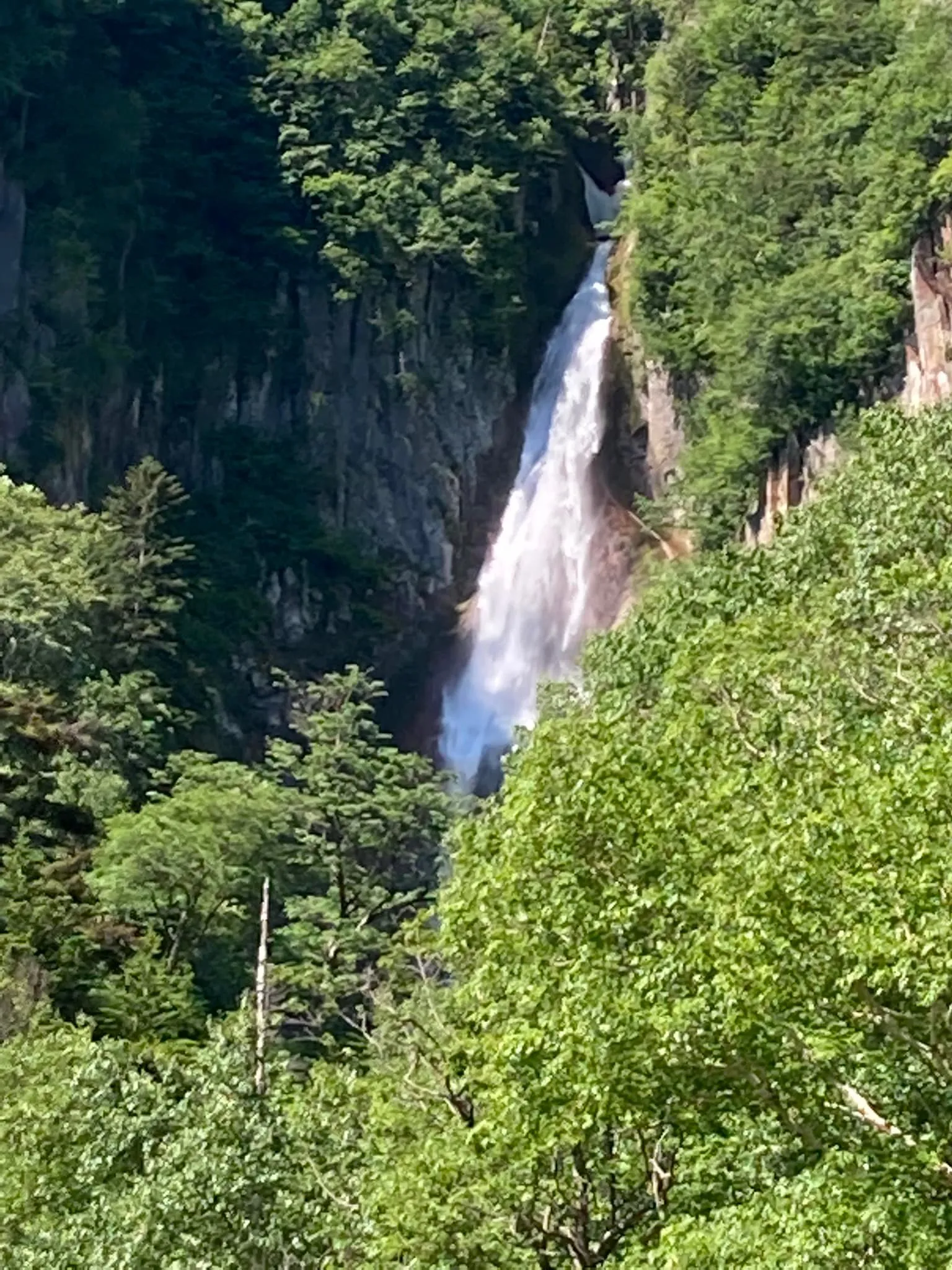 経営コンサルタントのモーちゃんこと毛利京申です🤗