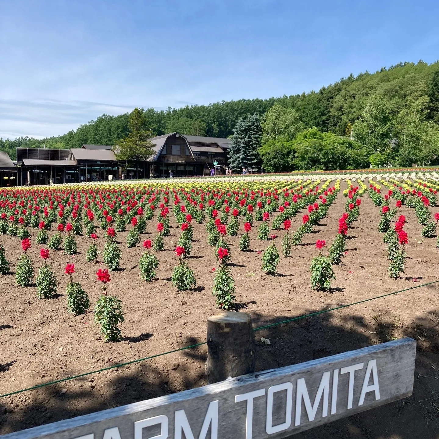 名古屋を拠点に全国で活動する経営コンサルタントの毛利京申（も...