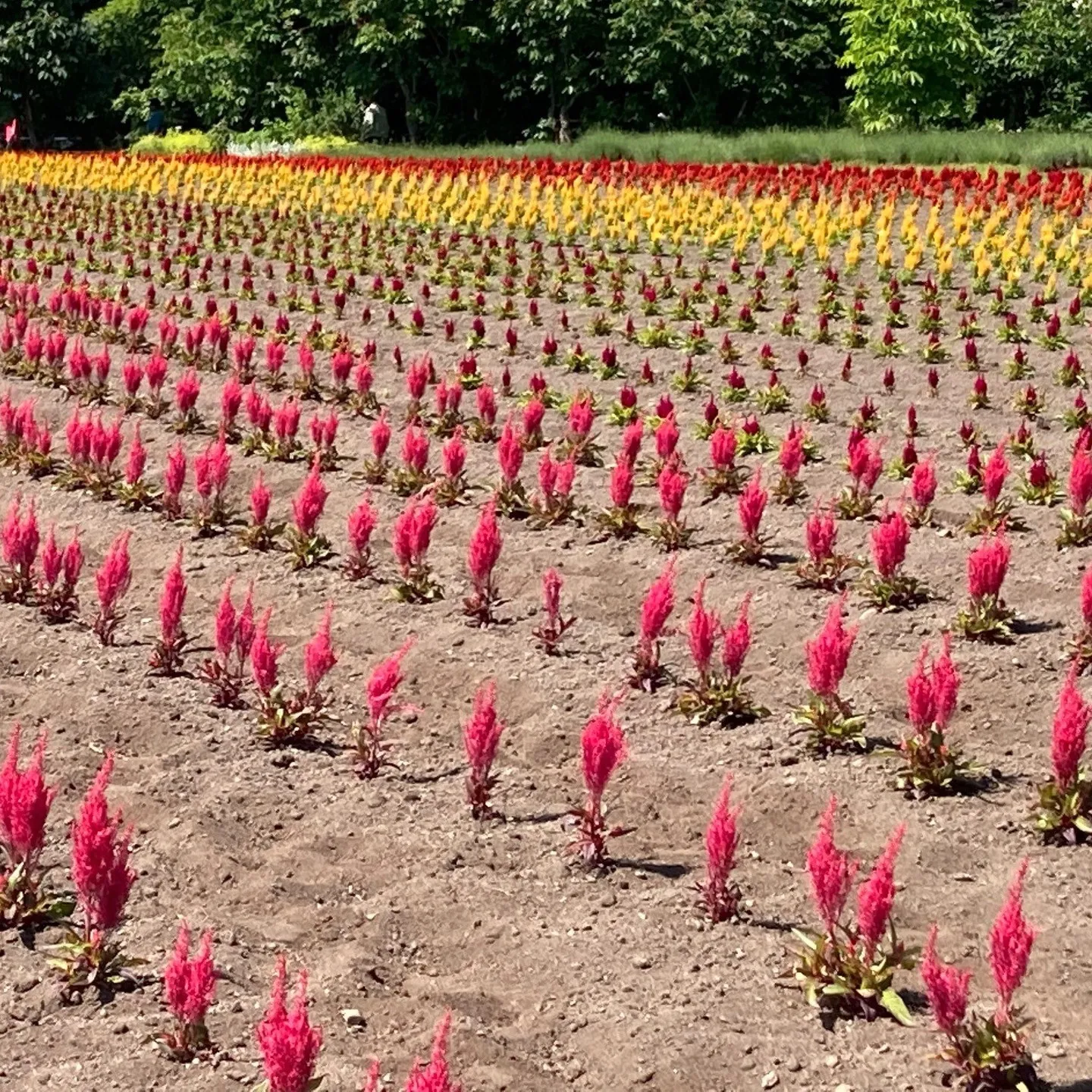 名古屋を拠点に全国で活動する経営コンサルタントの毛利京申（も...