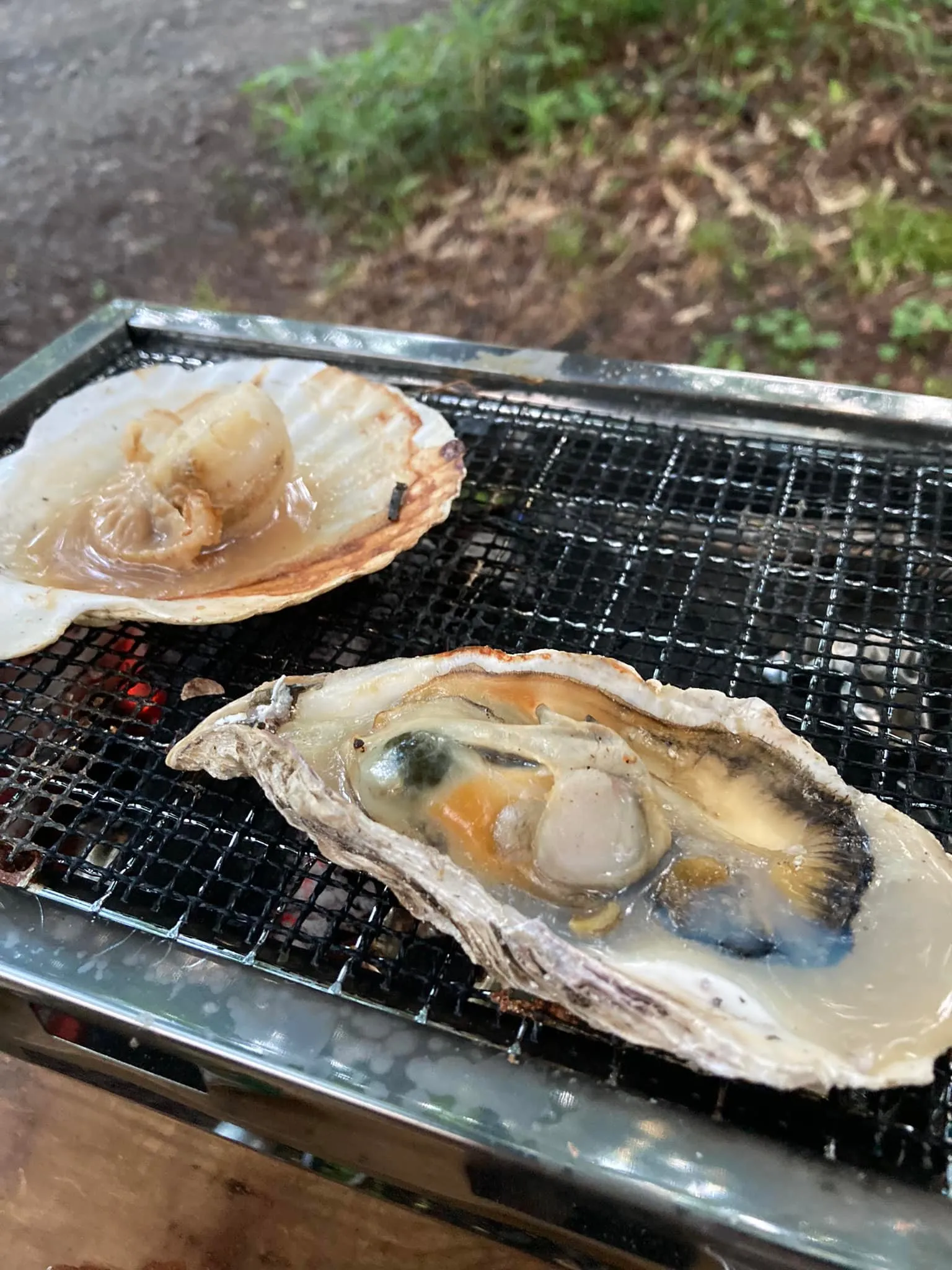 今平湯温泉♨️にキャンプに来ています。